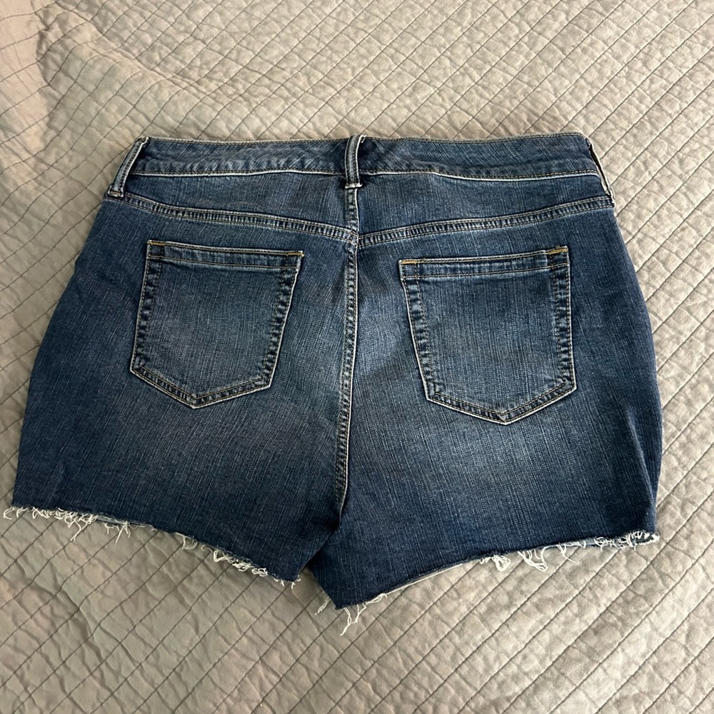 Torrid shorts